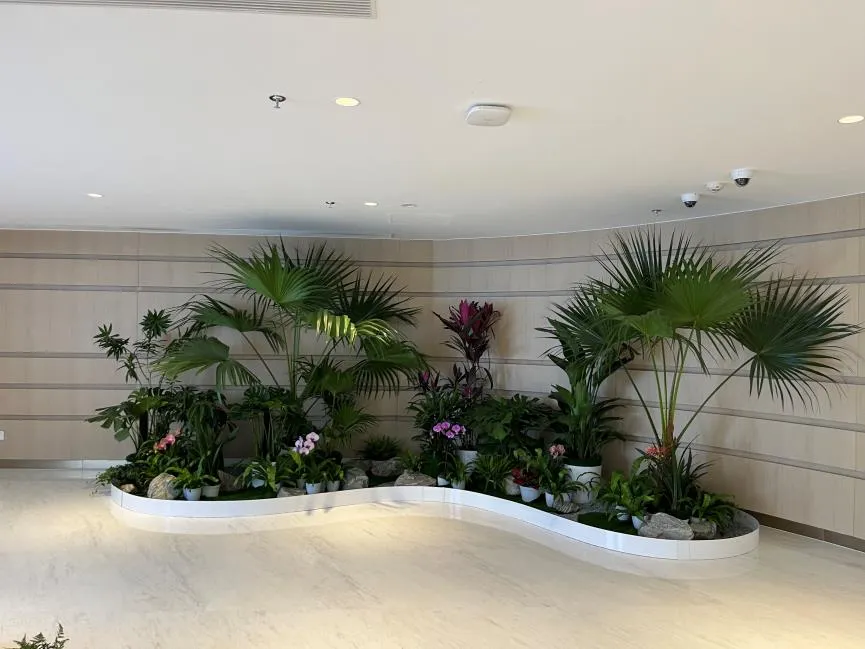 超棒的杭州湾植物出租服务，好品质不容错过！